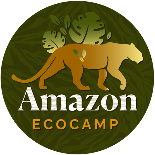 Amazon EcoCamp